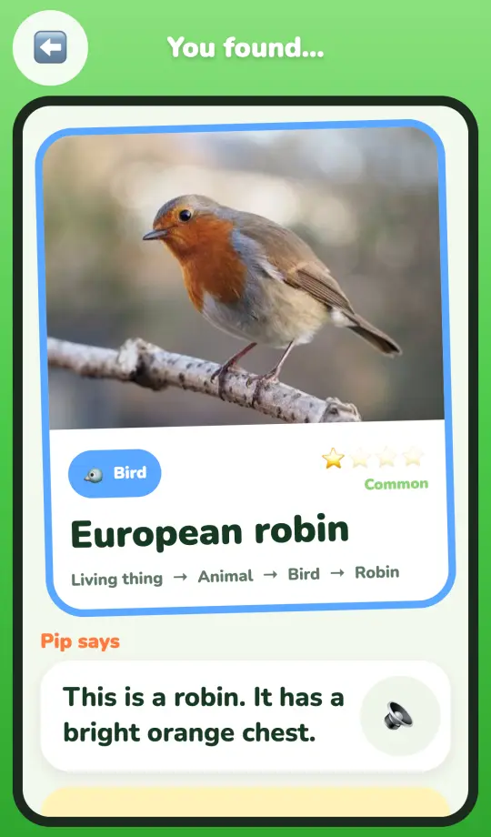 You found a European robin: a bird card with its rarity and a fact